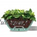 Santino Self Watering Planter CALIPSO Oval Shape L 9.4 Inch x H 5.1 Inch Lavender/White Flower Pot   564101784